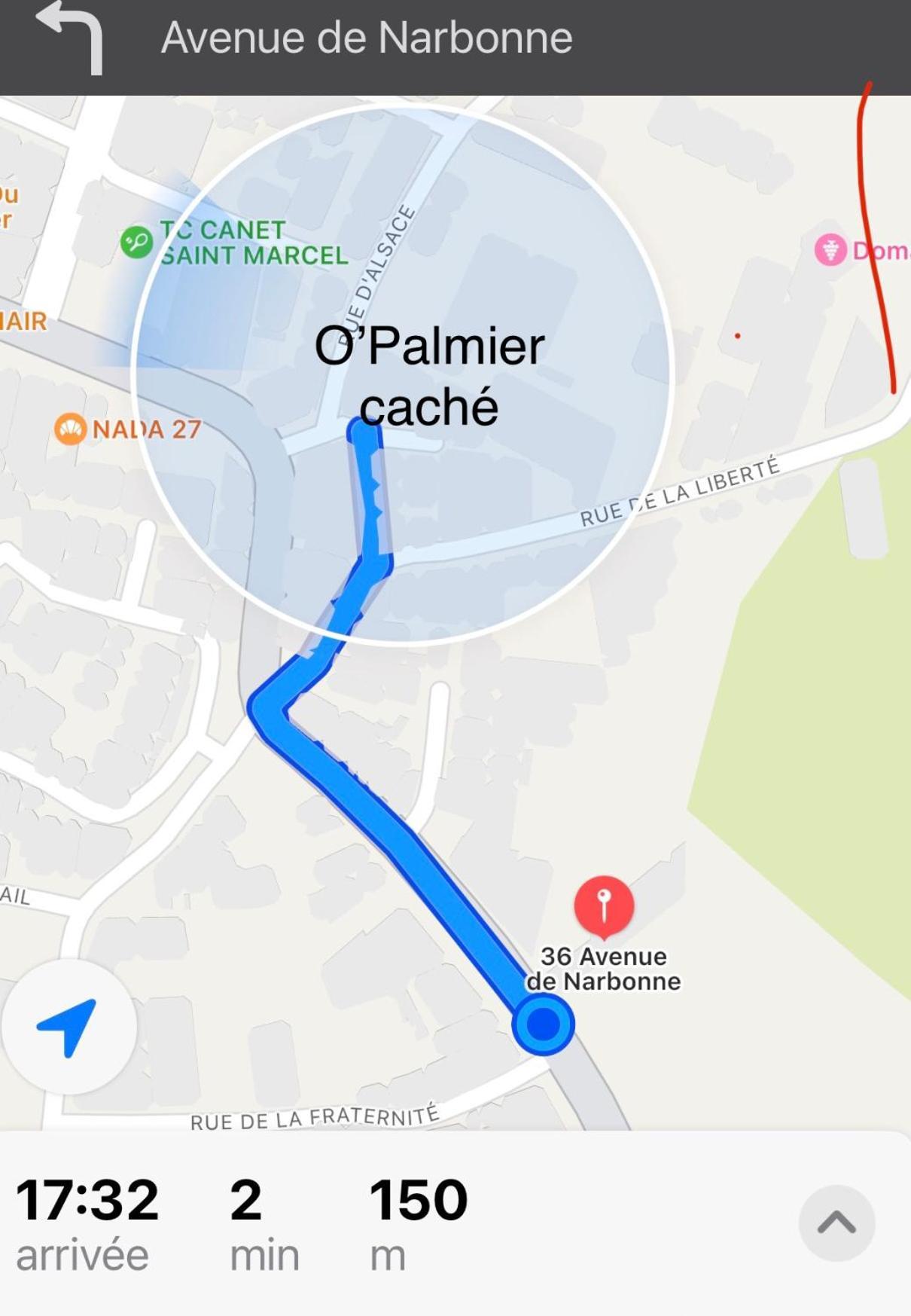 O'Palmier Cache Bed & Breakfast Saint-Marcel-sur-Aude Bagian luar foto