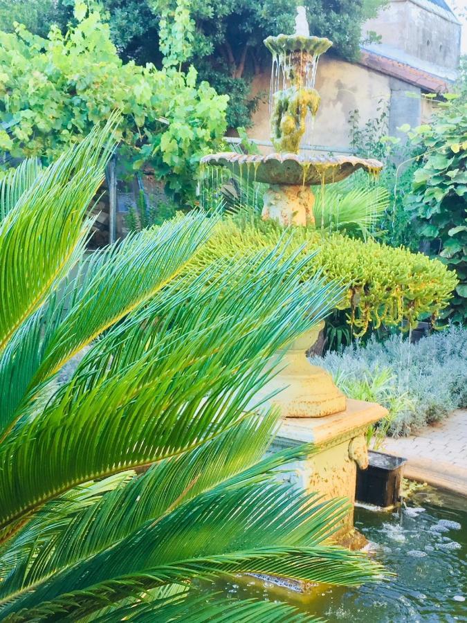 O'Palmier Cache Bed & Breakfast Saint-Marcel-sur-Aude Bagian luar foto